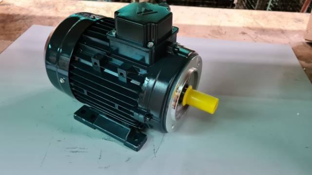 Max Alloy 0.75Kw, 6 Pole Foot/Flange Electric Motor