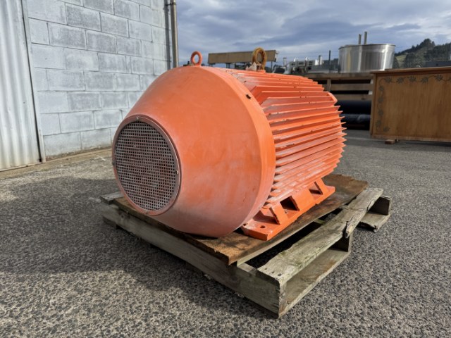 CMG 185Kw, 989 RPM, 6 Pole Electric Motor