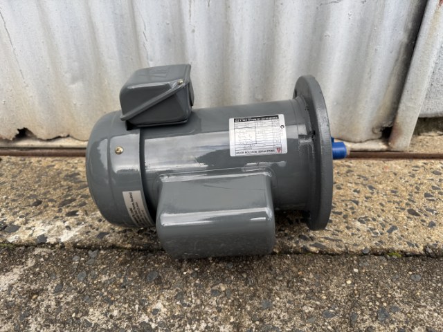 TECO 0.75Kw, 2900 RPM, 2 Pole, Flange Only, Single Phase Electric Motor