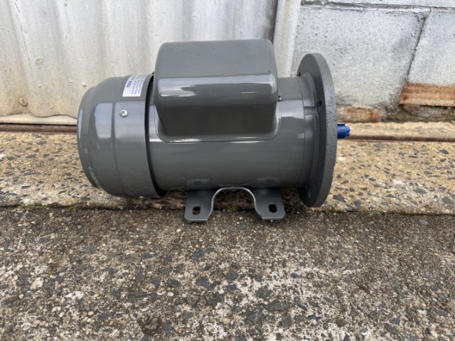 TECO 0.75Kw, 2900 RPM, 2 Pole, Foot/Flange, Single Phase Electric Motor