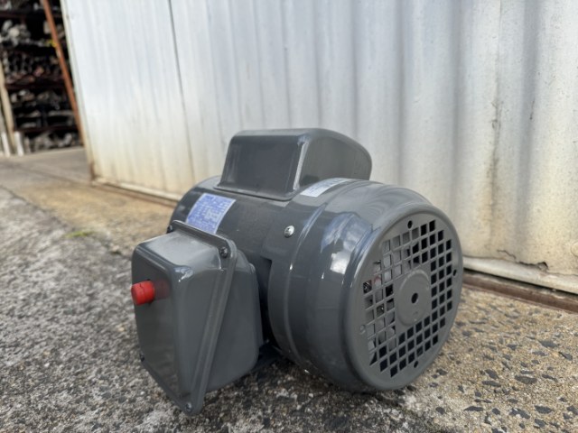 TECO 0.75Kw, 2 Pole Single Phase Electric Motor