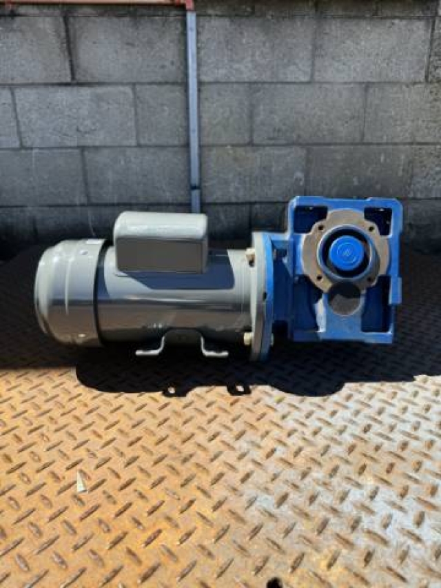 TECO Single Phase 0.75KW, 56 RPM Geared Motor