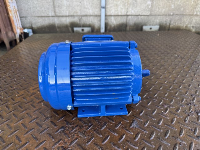TECO MAX-E 3 Premium 0.18Kw, 910 RPM, 6 Pole Electric Motor