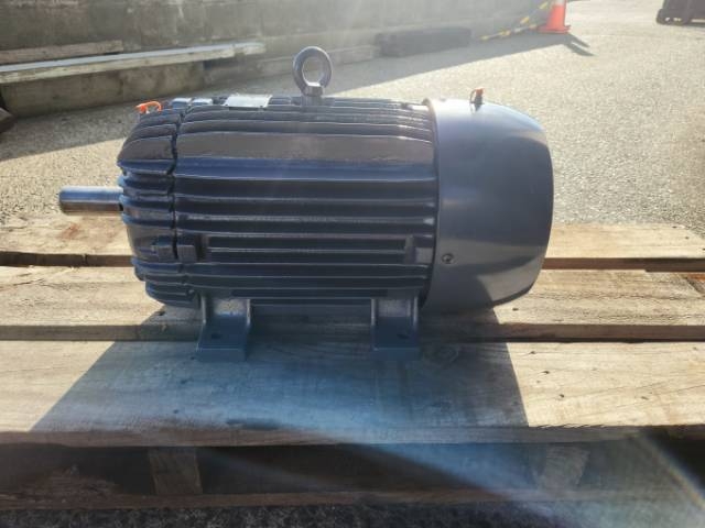 WEG 11KW, 970 RPM 6 Pole Electric Motor