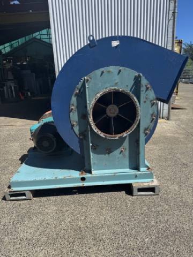 Large Paddle Fan