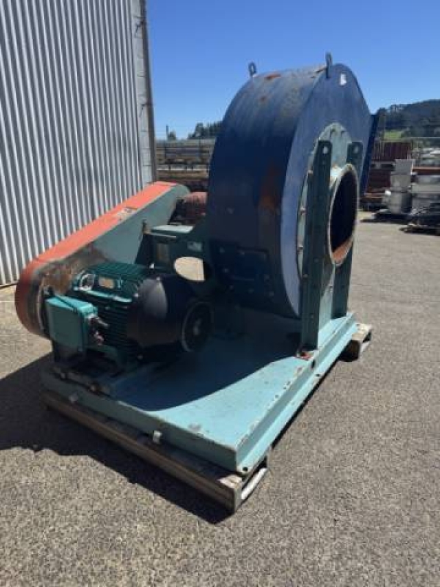 Large Paddle Fan