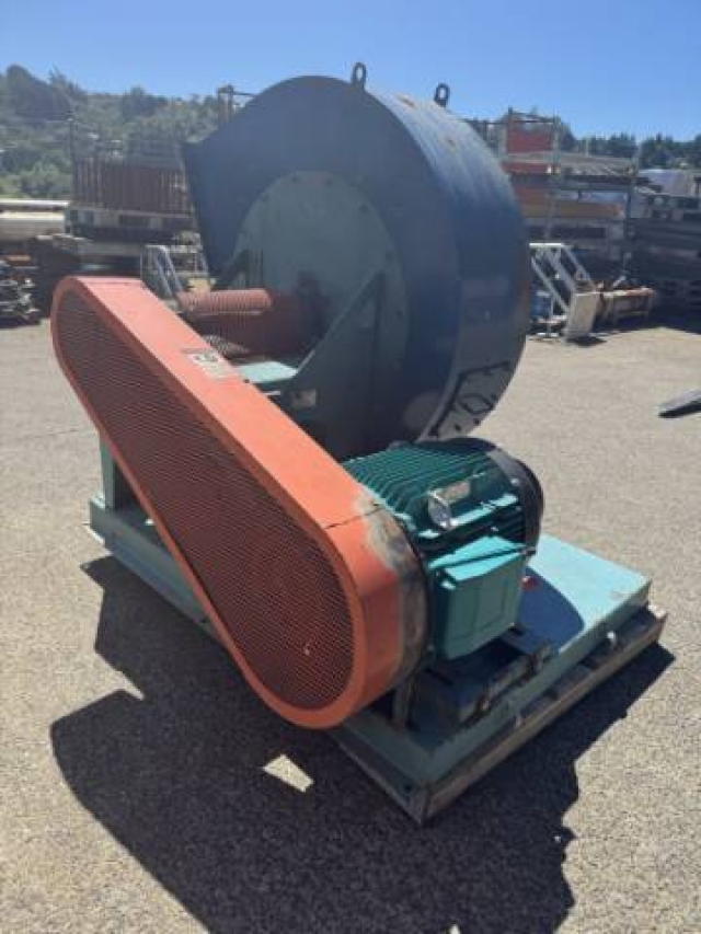 Large Paddle Fan