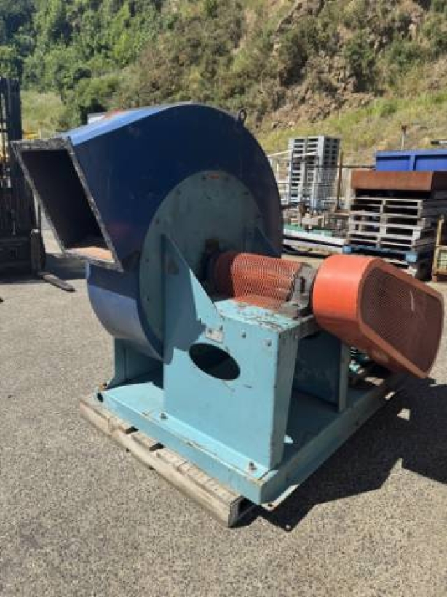 Large Paddle Fan