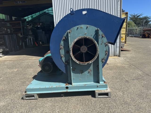 Large Paddle Fan