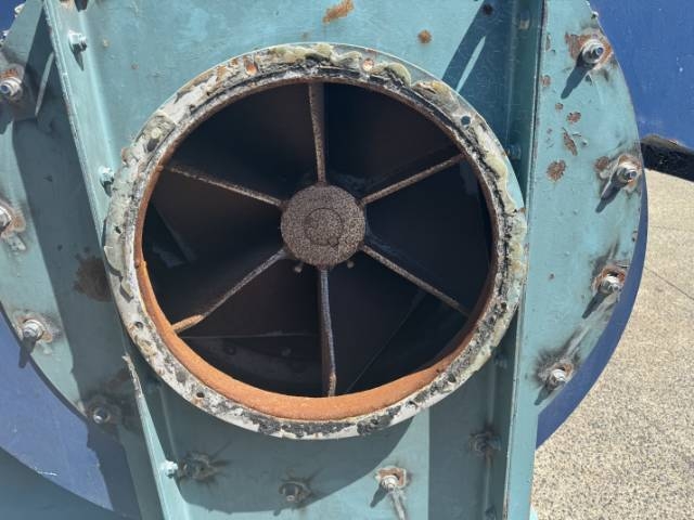 Large Paddle Fan