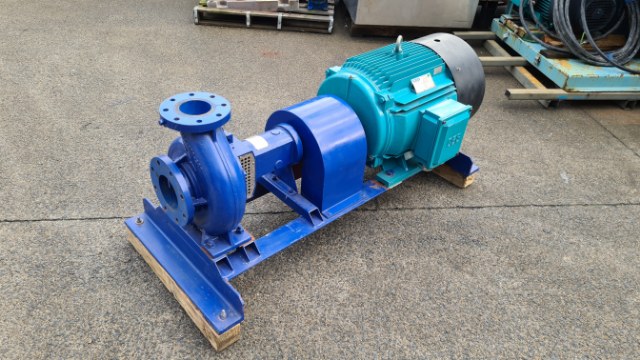 55Kw Goulds Pump (New)